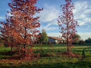 Cascina in in vendita da privato a beinette cascina bruni, 37