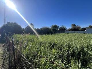 Terreno agricolo in vendita a roma via conone