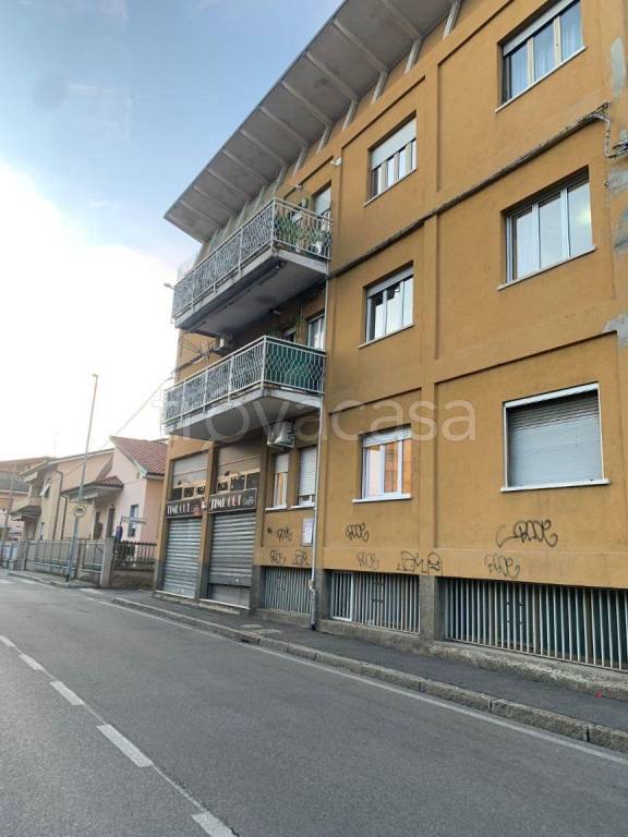 immagine annuncio 1 di 15