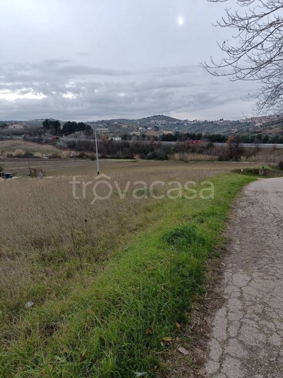 immagine annuncio 1 di 6