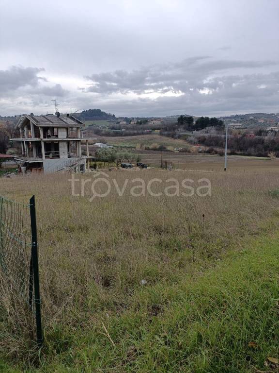 immagine annuncio 3 di 6