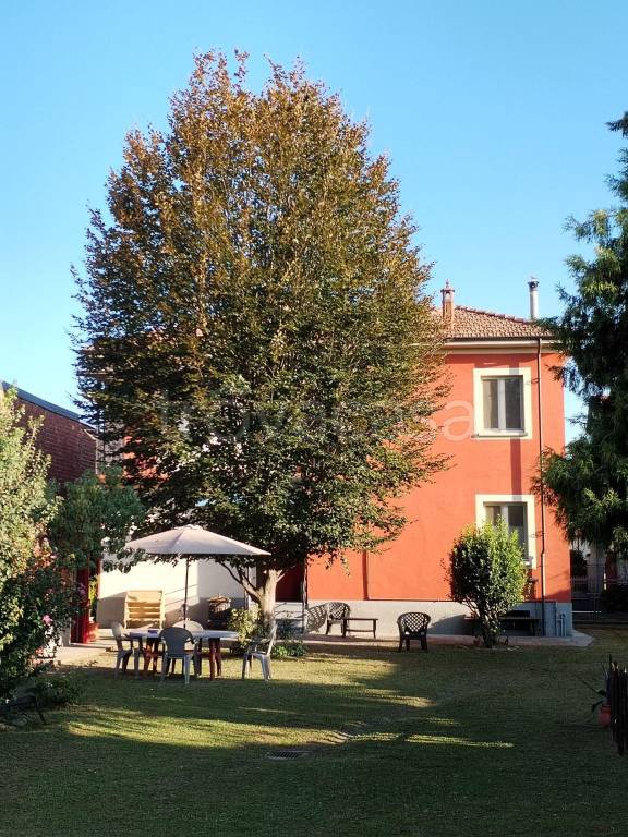immagine annuncio 7 di 15