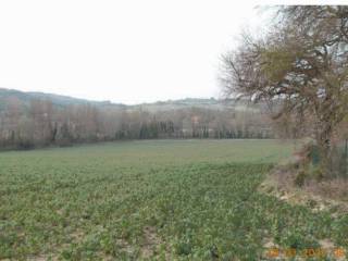 Terreno agricolo all'asta a collazzone piazza santa liberata