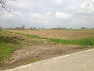 Terreno agricolo all'asta a sissa trecasali via grande