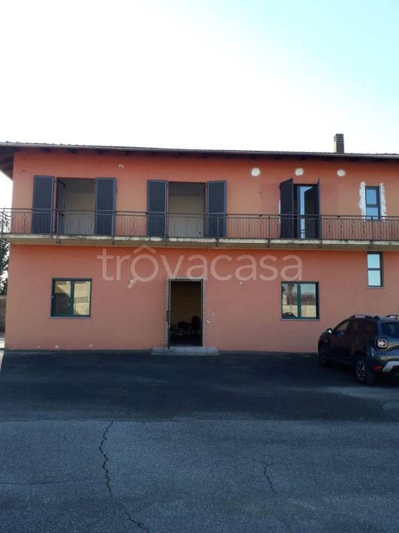 immagine annuncio 2 di 11
