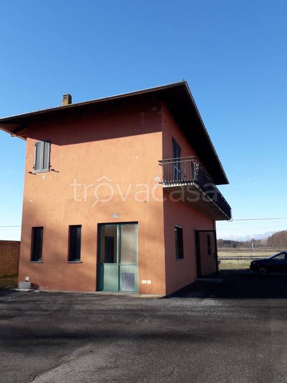 immagine annuncio 4 di 11