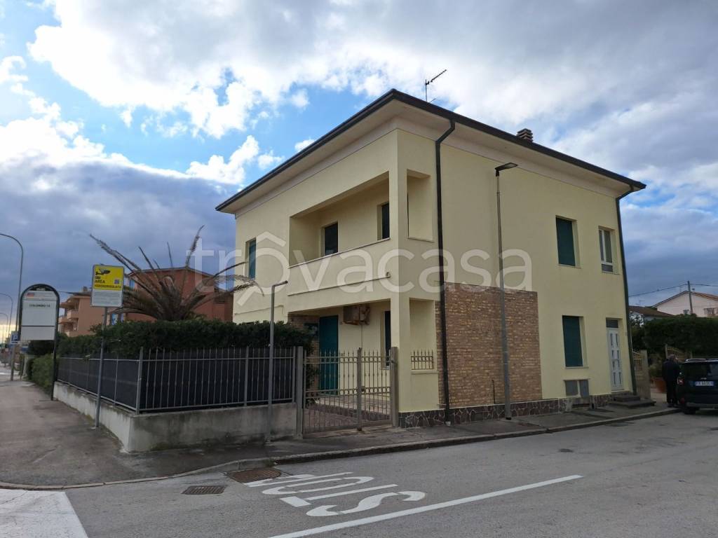 immagine annuncio 9 di 14