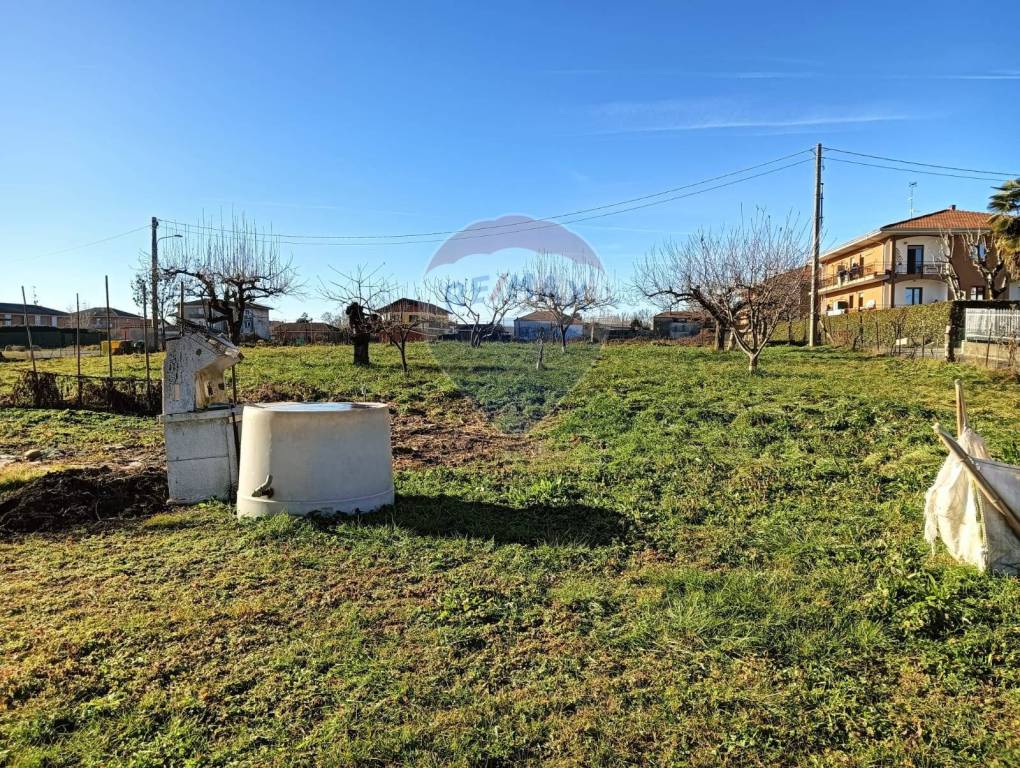 immagine annuncio 9 di 11