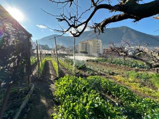 Terreno agricolo in vendita a gragnano via lamma, 5