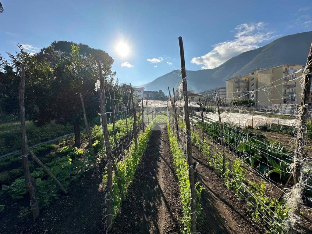 immagine annuncio 2 di 6