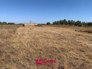 Terreno agricolo in vendita a scorrano sp 226, snc