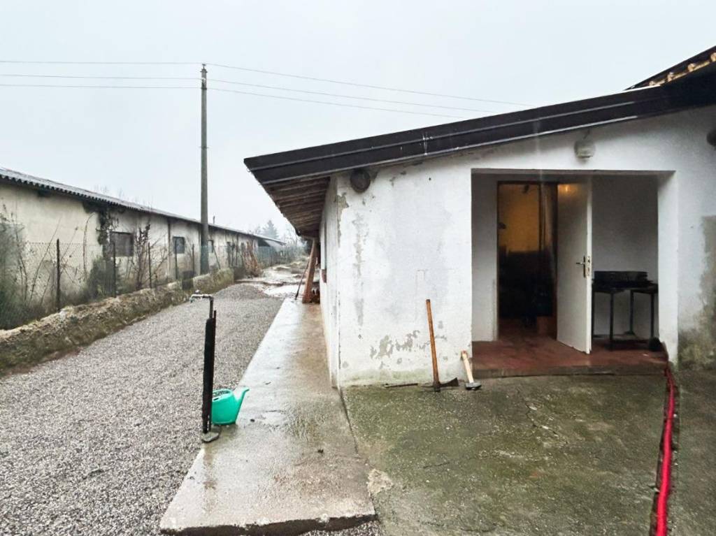 immagine annuncio 7 di 8