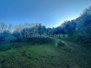 Terreno agricolo in vendita a ferentino strada regionale casilina