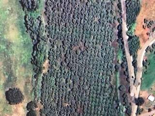 Terreno agricolo in vendita a rende san biase, snc