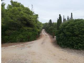 Terreno agricolo all'asta ad alghero strada vicinale arenosu