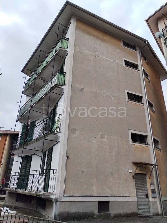 immagine annuncio 10 di 12
