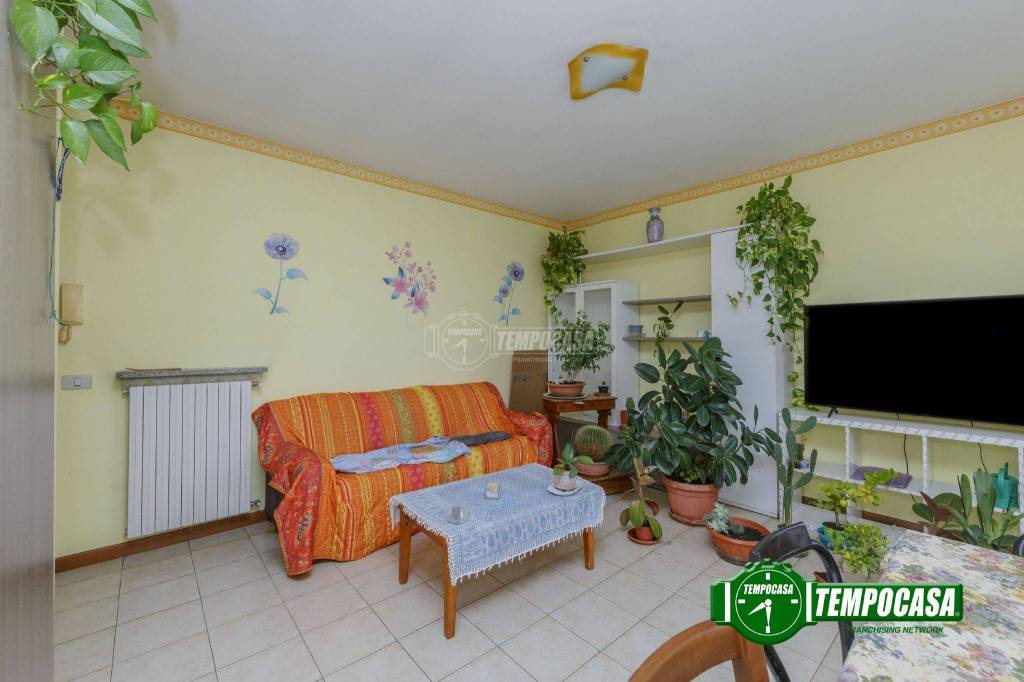 immagine annuncio 6 di 13