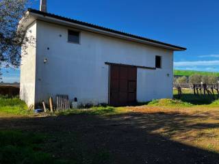 Terreno agricolo in vendita a pomezia via laurentina, 54