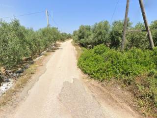 Terreno agricolo all'asta a canosa di puglia sp231