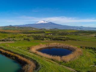 Terreno agricolo in vendita a paternò frazione sferro