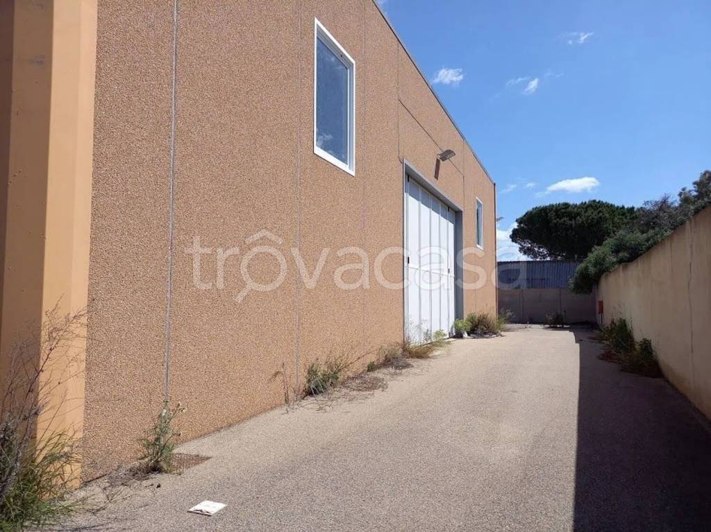 immagine annuncio 2 di 7