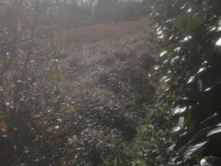 Terreno agricolo all'asta a fondi via san giovanni