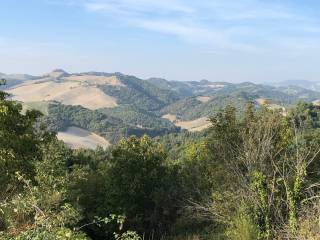 Terreno agricolo in vendita a urbino via girfalco