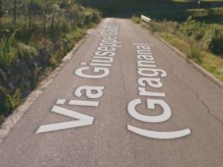 Terreno agricolo all'asta a piazza al serchio via giuseppe garibaldi