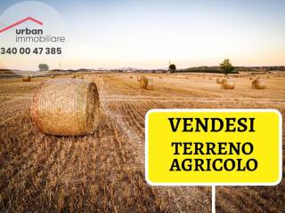 Terreno agricolo in vendita a l'aquila via pasquale ficara