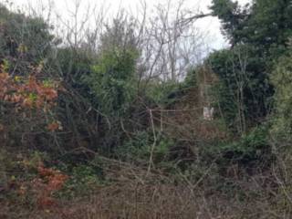 Rustico all'asta a massa marittima strada provinciale capanne