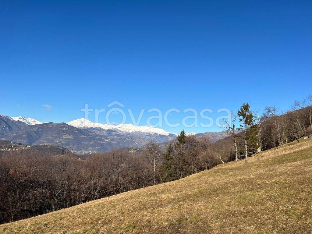 immagine annuncio 5 di 12