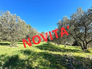 Terreno agricolo in vendita a narni strada di castel vecchio