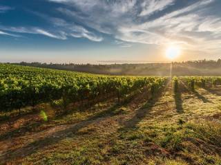 Terreno agricolo in vendita a borgo valsugana lunar, 30