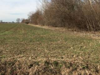 Terreno agricolo all'asta a sissa trecasali via grande