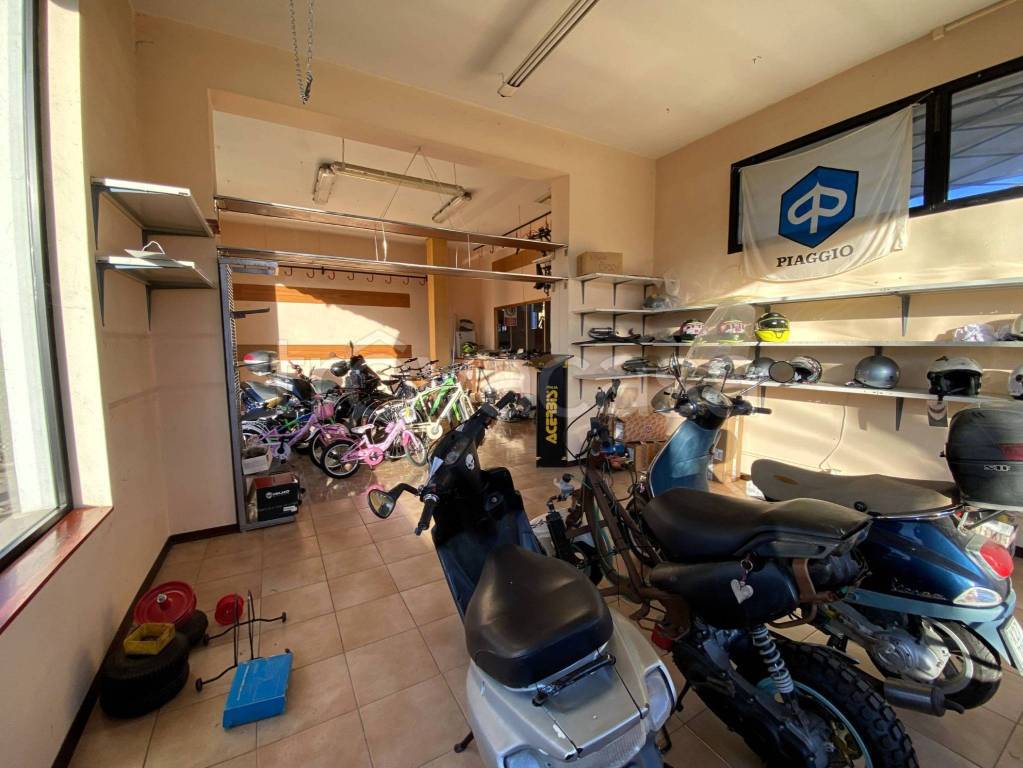 immagine annuncio 11 di 13