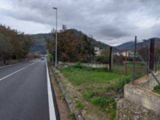 Terreno agricolo all'asta a castel san giorgio castel san giorgio