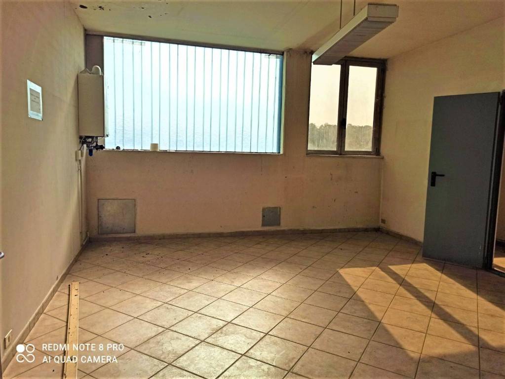 immagine annuncio 5 di 7