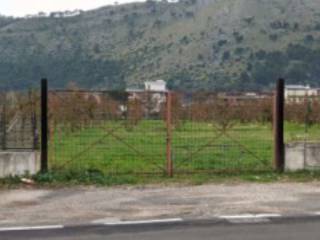 Terreno agricolo all'asta a castel san giorgio castel san giorgio