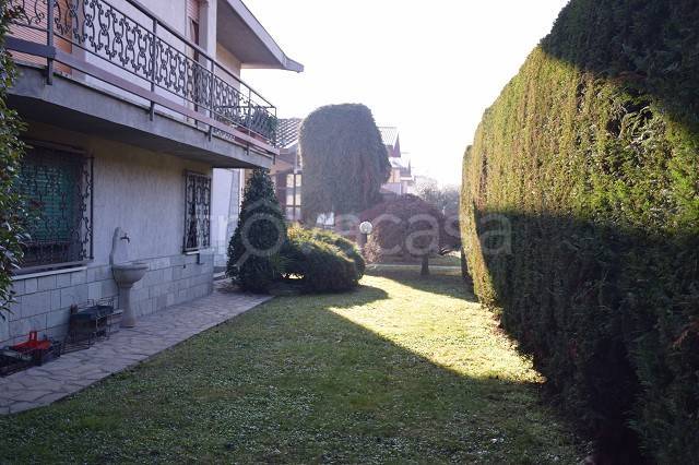 immagine annuncio 6 di 11