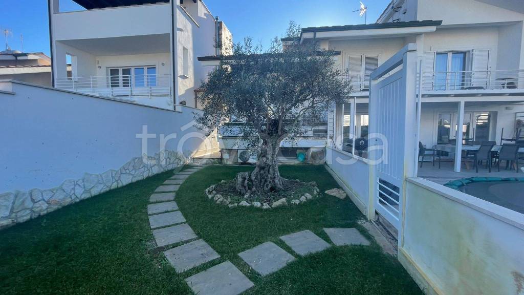 immagine annuncio 1 di 13