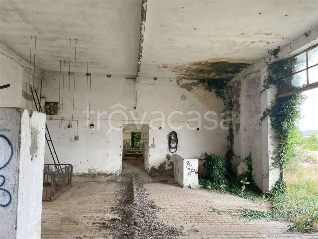 immagine annuncio 8 di 14
