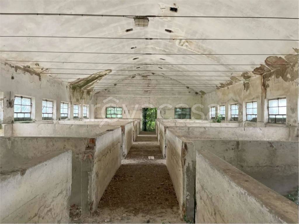 immagine annuncio 5 di 14