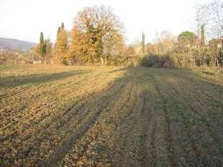 Terreno agricolo in vendita a lucignano via antonio gramsci