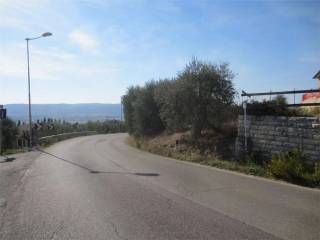 Terreno agricolo in vendita a lucignano via dei procacci