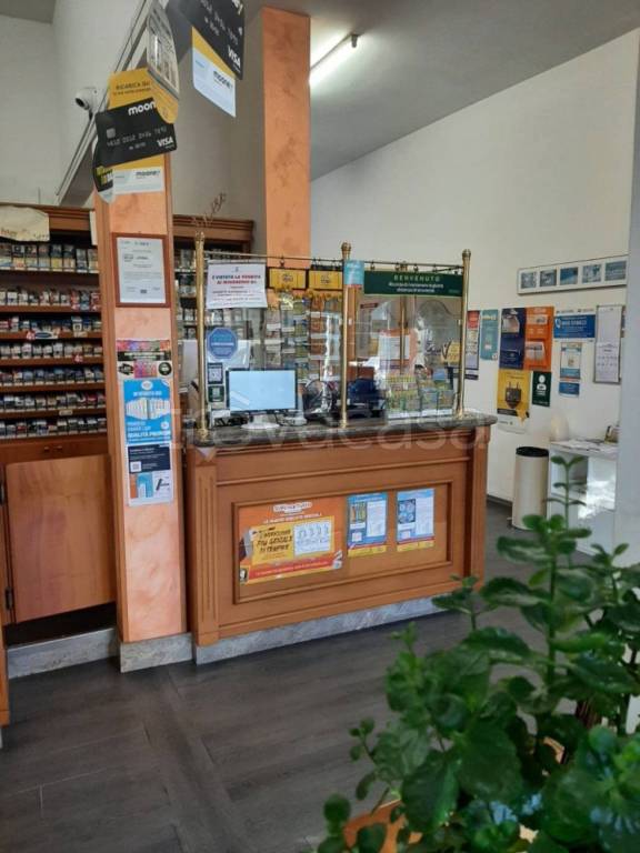 immagine annuncio 1 di 4