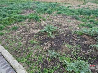 Terreno agricolo in vendita a certaldo 