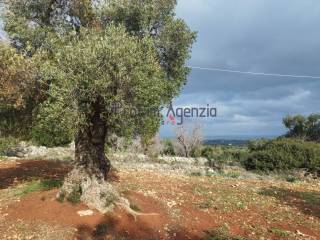 Terreno residenziale in vendita a carovigno 