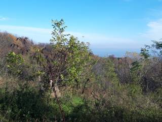 Terreno agricolo in vendita a verzuolo via san bernardo