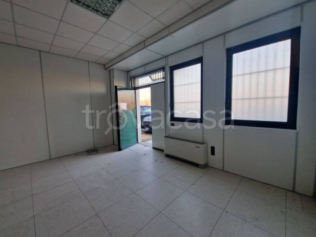 immagine annuncio 7 di 14