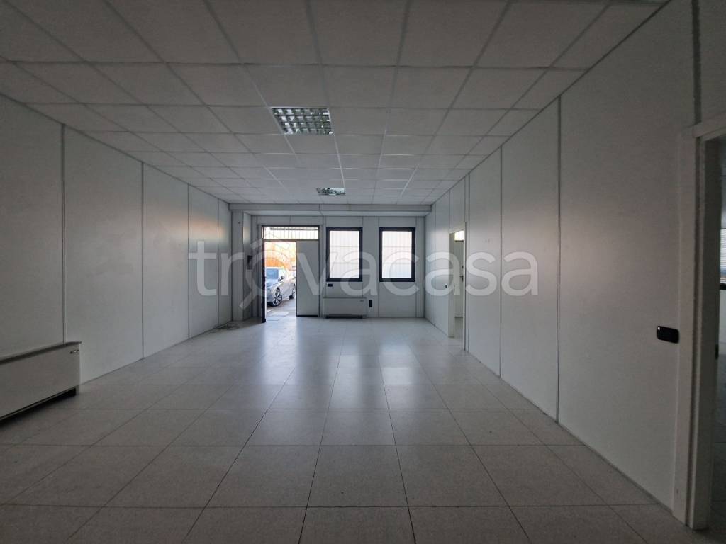 immagine annuncio 9 di 14
